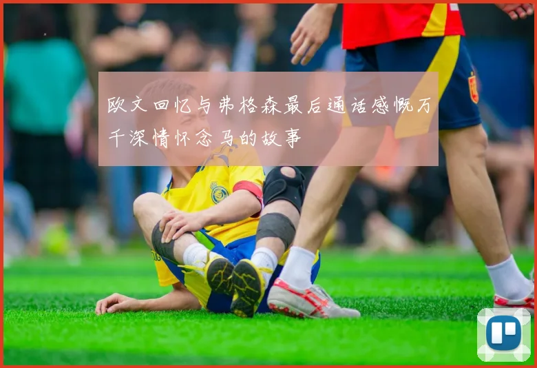 欧文回忆与弗格森最后通话感慨万千深情怀念马的故事